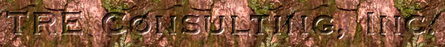 TRE Consulting, Inc.